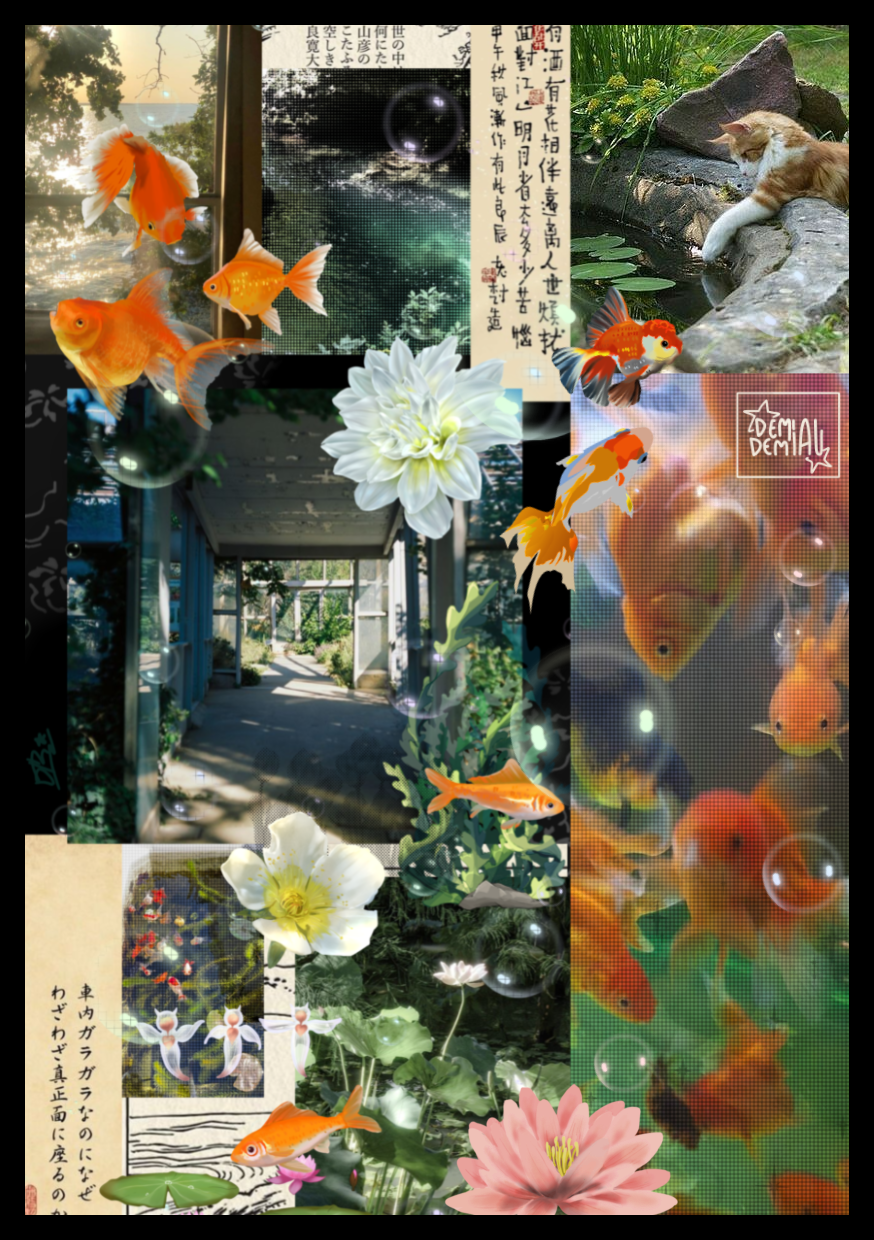 Collage 6